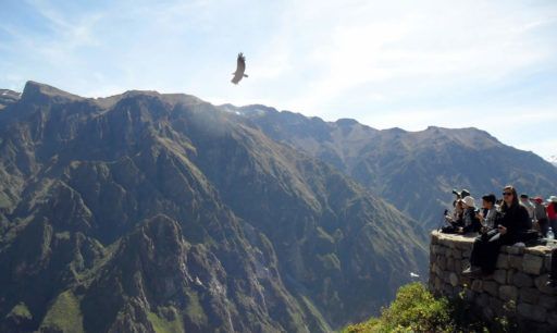 Valle cañon del colca